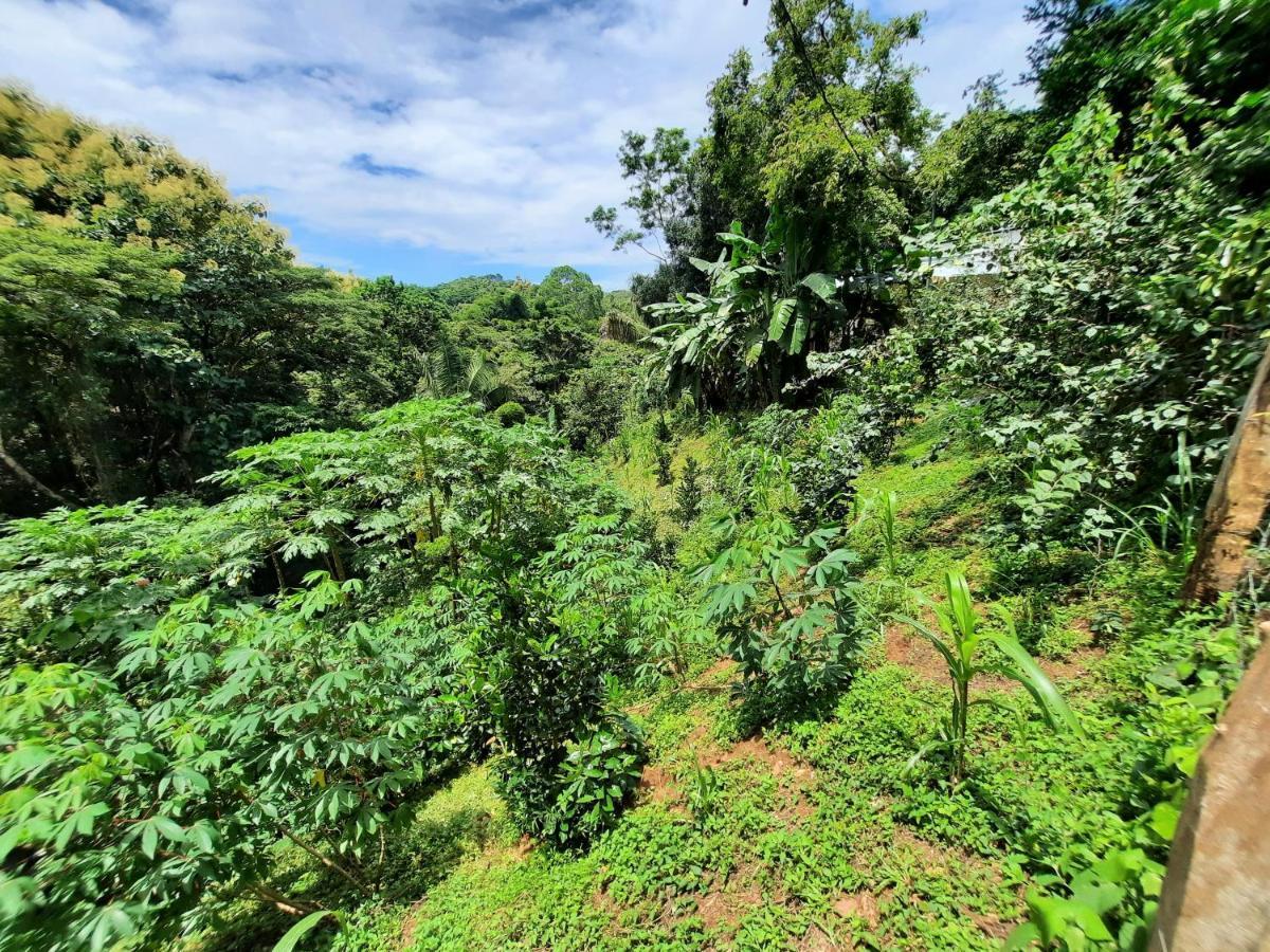 Eco-Turismo Guayacanes Самара Экстерьер фото