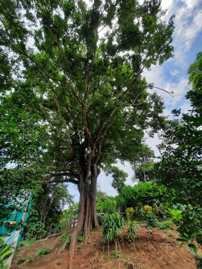 Eco-Turismo Guayacanes Самара Экстерьер фото
